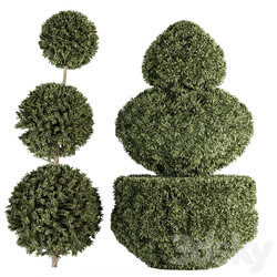 Topiary shape Bush Set 65 3D Models 