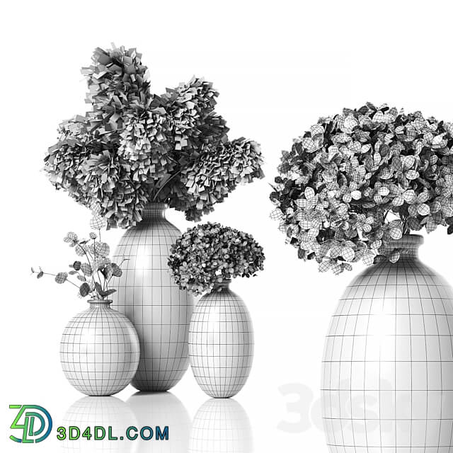 Dry plants 02 3D Models