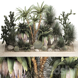 Collection of tropical desert plants 1108. Flowerbed garden cactus round Yucca Opuntia carnegia thickets bushes stone dracaena Barrel cactus Prickly pear 3D Models 