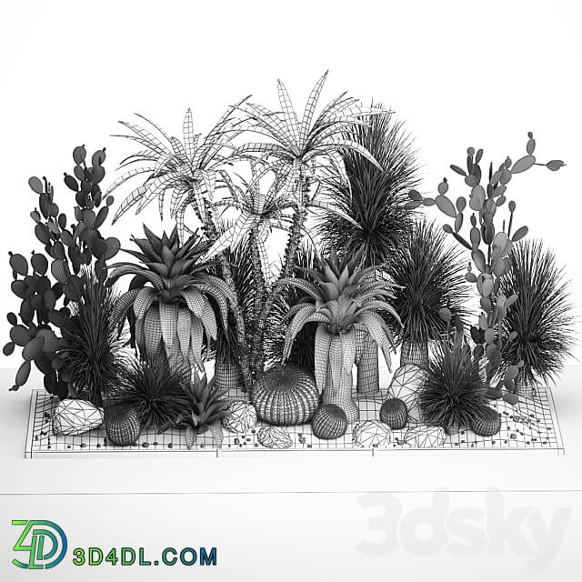 Collection of tropical desert plants 1108. Flowerbed garden cactus round Yucca Opuntia carnegia thickets bushes stone dracaena Barrel cactus Prickly pear 3D Models