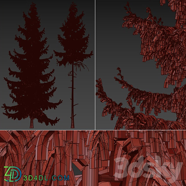 Pine Spruce 3D Models