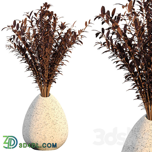 Dry flower 008 3D Models