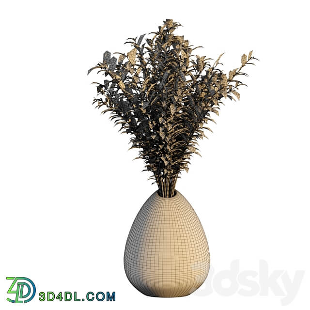 Dry flower 008 3D Models