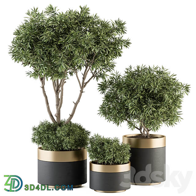 indoor Plant Set 361 Tree and Plant Set in pot 3D Models