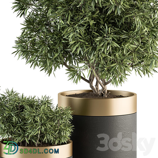 indoor Plant Set 361 Tree and Plant Set in pot 3D Models