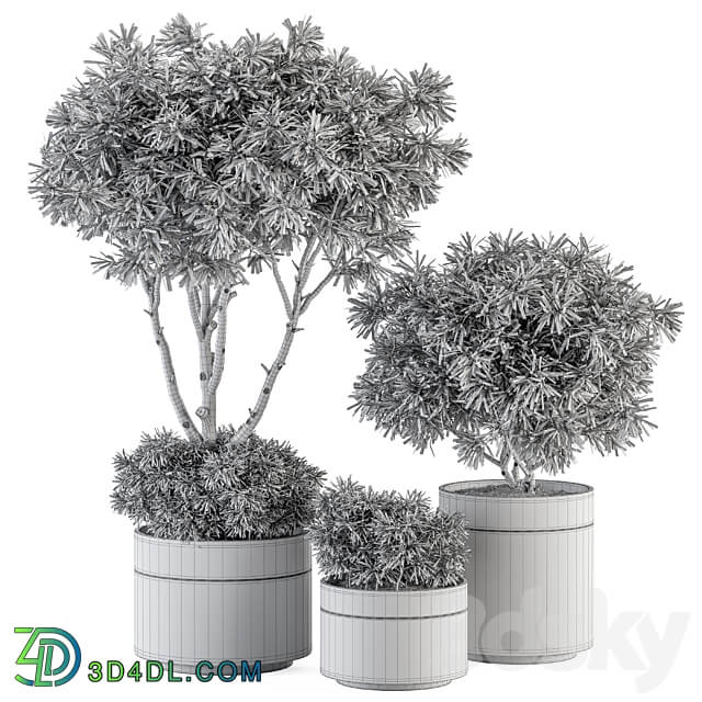 indoor Plant Set 361 Tree and Plant Set in pot 3D Models