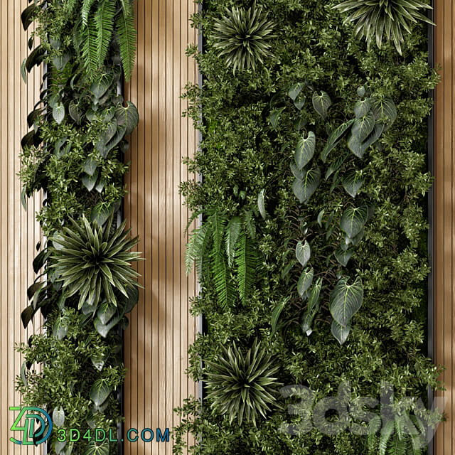 Indoor Wall Vertical Garden in Wooden Base Set 536 Fitowall 3D Models