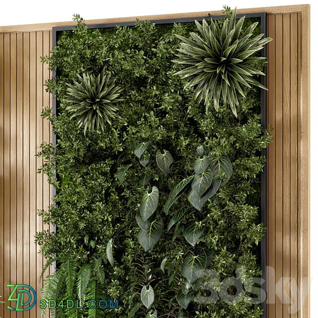 Indoor Wall Vertical Garden in Wooden Base Set 536 Fitowall 3D Models