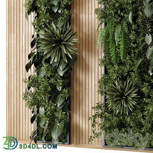 Indoor Wall Vertical Garden in Wooden Base Set 536 Fitowall 3D Models