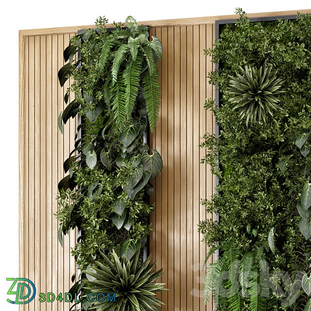 Indoor Wall Vertical Garden in Wooden Base Set 536 Fitowall 3D Models