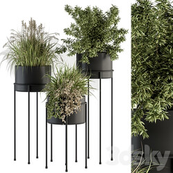 indoor Plant Set 370 Tree and Plant Set Stand pot 3D Models 