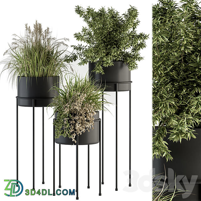 indoor Plant Set 370 Tree and Plant Set Stand pot 3D Models