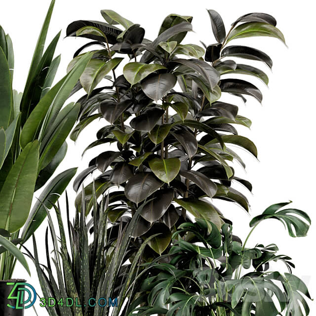 Indoor Plants in Ferm Living Bau Pot Large Set 583 3D Models