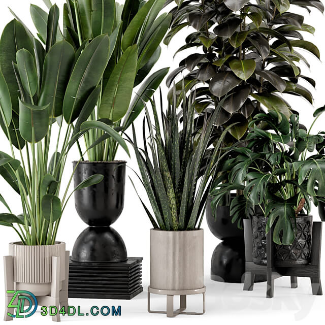 Indoor Plants in Ferm Living Bau Pot Large Set 583 3D Models