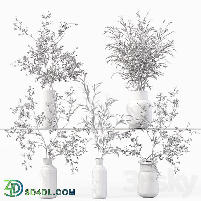 Collaction Indoor Plants 016 3D Models