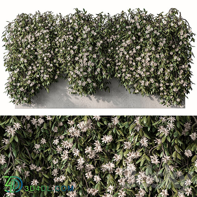Outdoor Hanging Plants with White Flower Set 390 Outdoor 3D Models