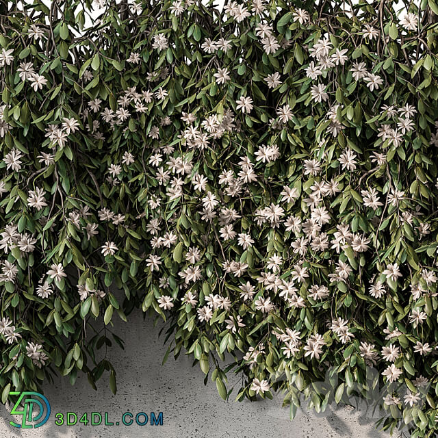 Outdoor Hanging Plants with White Flower Set 390 Outdoor 3D Models