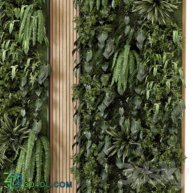 Indoor Wall Vertical Garden in Wooden Base Set 638 Fitowall 3D Models