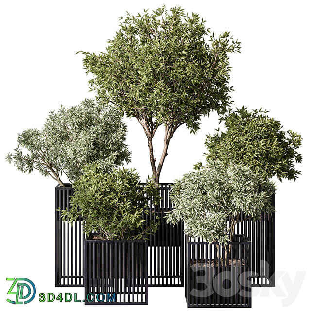 indoor Plant Set 380 Tree and Plant Set in pot 3D Models