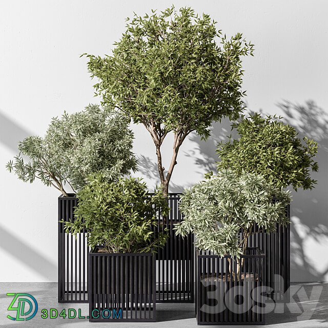 indoor Plant Set 380 Tree and Plant Set in pot 3D Models