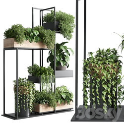 stand plant box collection Indoor plant 217 wooden 3D Models 