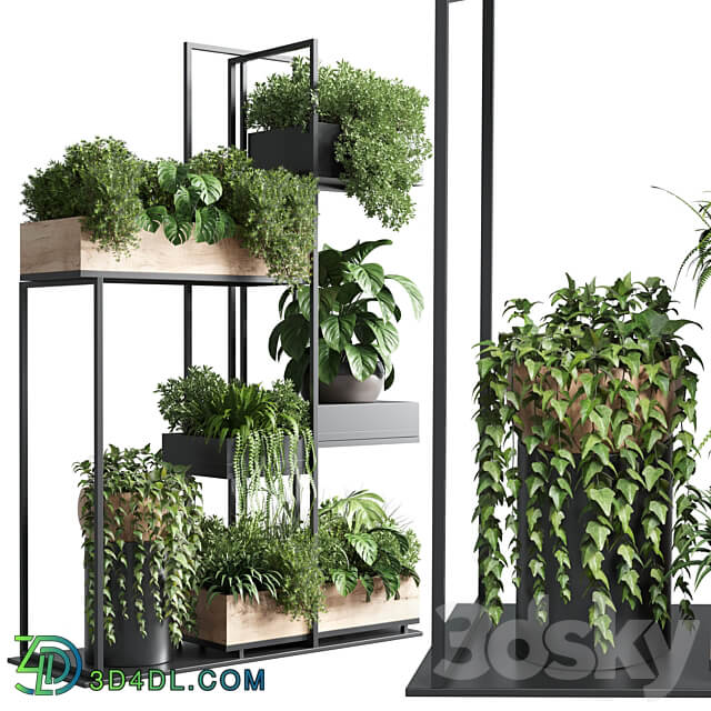 stand plant box collection Indoor plant 217 wooden 3D Models