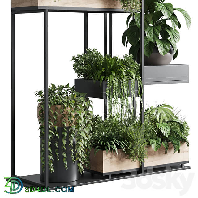 stand plant box collection Indoor plant 217 wooden 3D Models