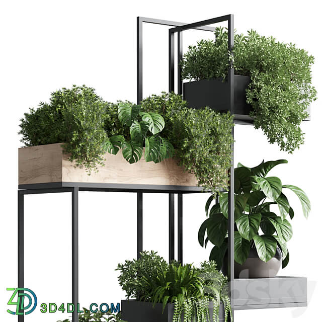 stand plant box collection Indoor plant 217 wooden 3D Models