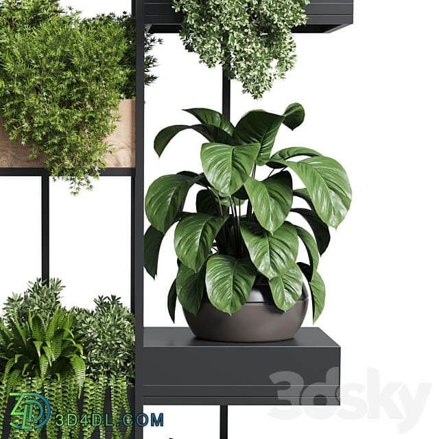 stand plant box collection Indoor plant 217 wooden 3D Models
