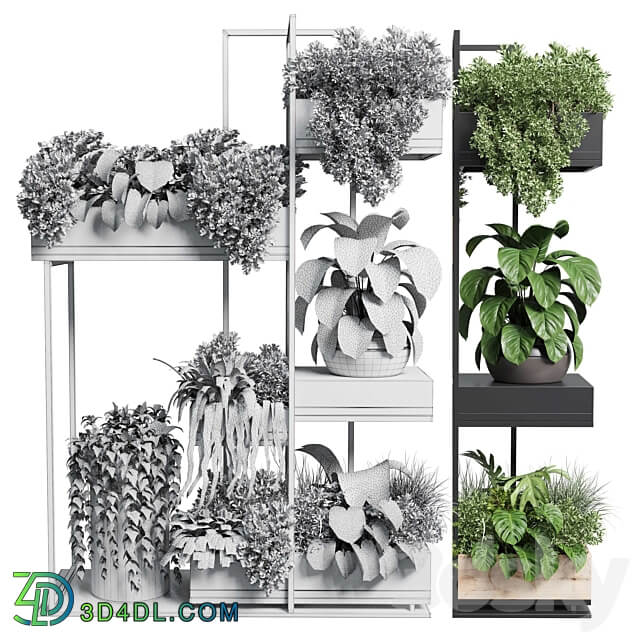 stand plant box collection Indoor plant 217 wooden 3D Models