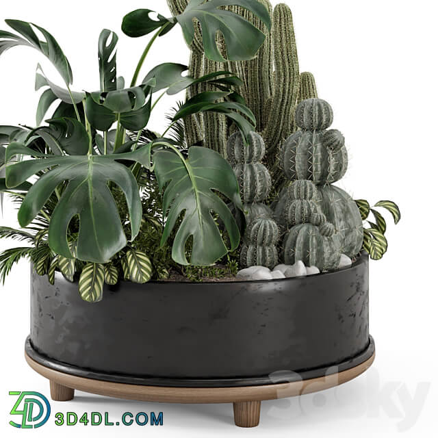 Outdoor Plants Bush in rusty Metal Pot Set 666 3D Models