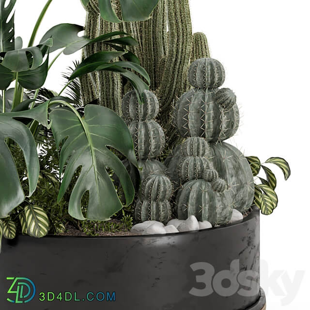 Outdoor Plants Bush in rusty Metal Pot Set 666 3D Models