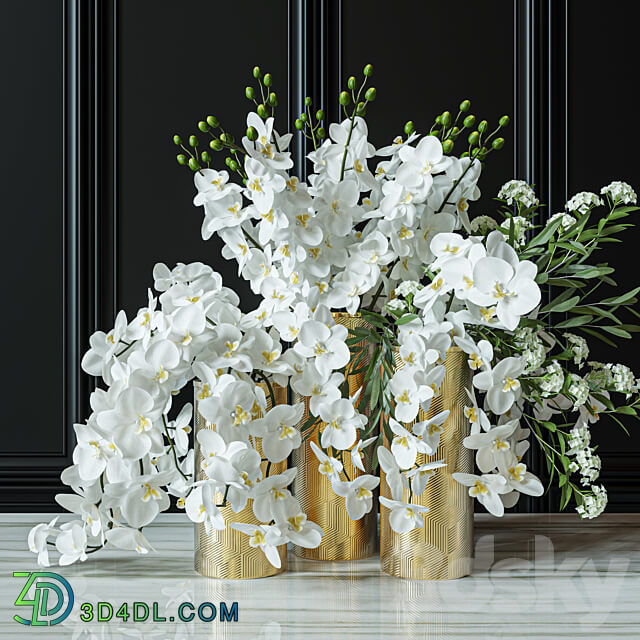 Flower Set 033 Orchids 3D Models