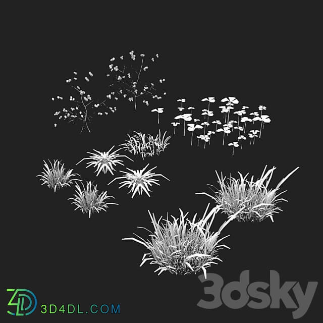 Grass and Flower 3D Models
