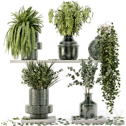 Collection Indoor Plants in Glass Pots Set 695 3D Models 