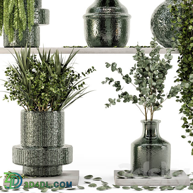 Collection Indoor Plants in Glass Pots Set 695 3D Models
