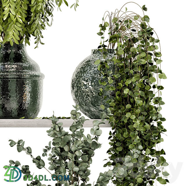 Collection Indoor Plants in Glass Pots Set 695 3D Models