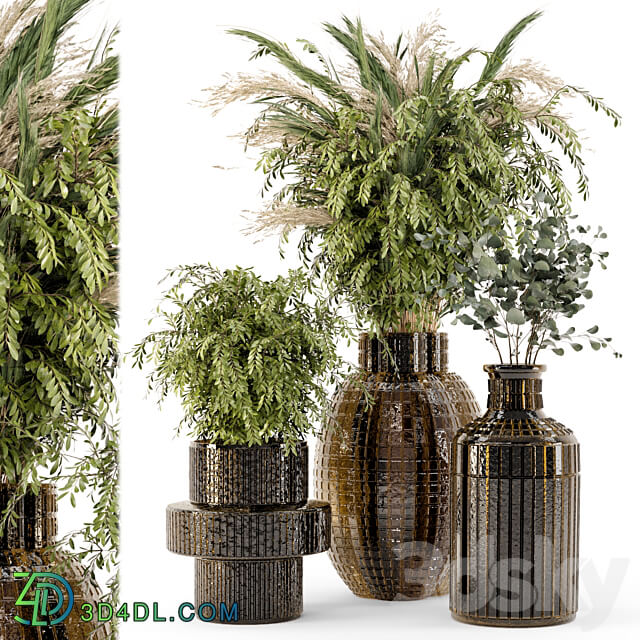 Collection Indoor Plants in Glass Pots Set 701 3D Models