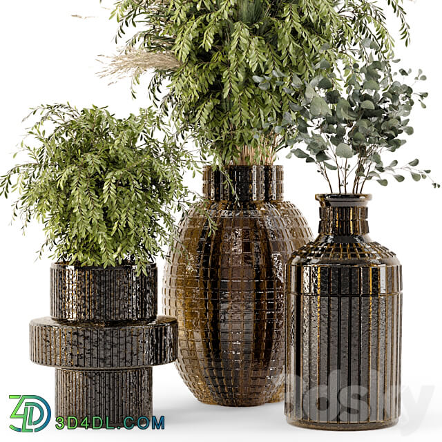 Collection Indoor Plants in Glass Pots Set 701 3D Models