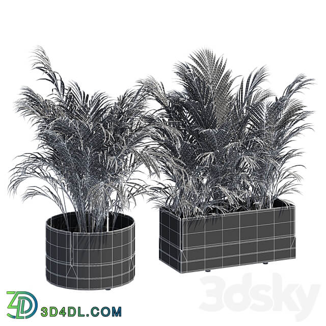 Robertirattan 3D Models