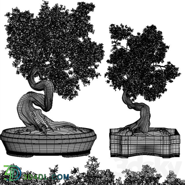 Bonsai Set Vol.01 3D Models