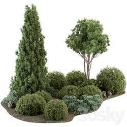 Garden Set Topiary and pine Plants Outdoor Plants Set 410 3D Models 