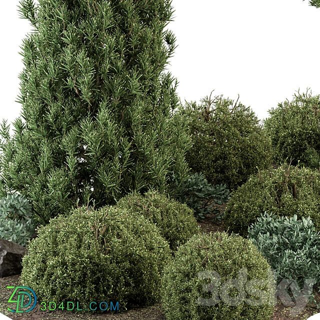Garden Set Topiary and pine Plants Outdoor Plants Set 410 3D Models