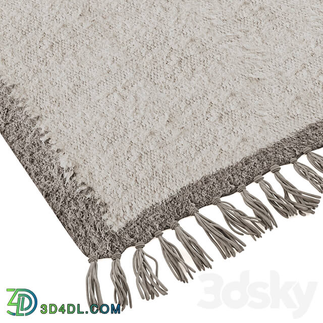 Border Shaggy Rug by Urban Outfitters 3D Models