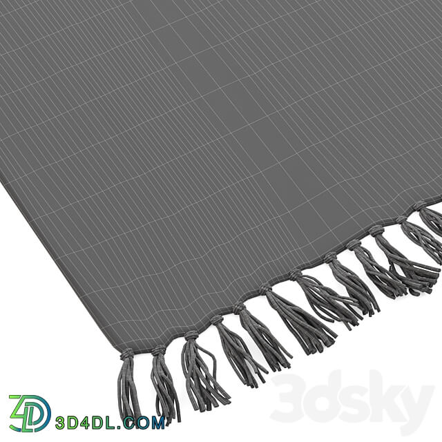 Border Shaggy Rug by Urban Outfitters 3D Models