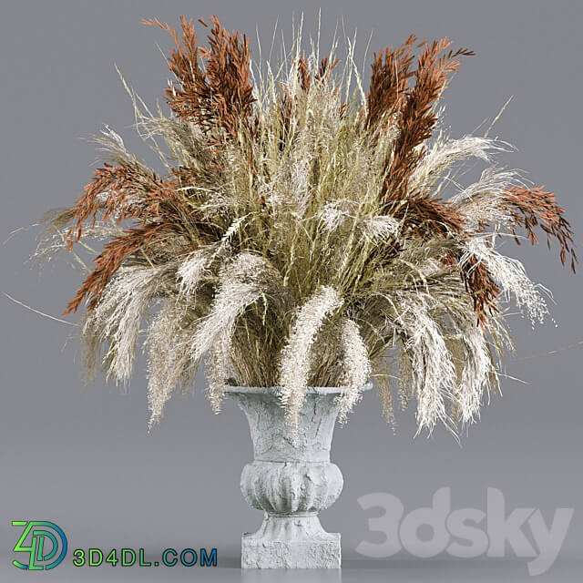 Bouquet Collection 13 Decorative Dried Branches and Pampas 3D Models