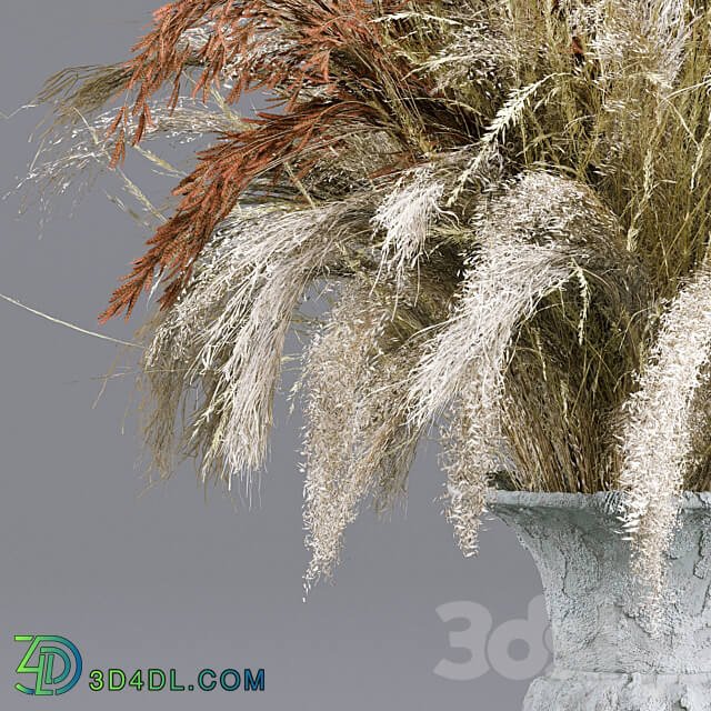 Bouquet Collection 13 Decorative Dried Branches and Pampas 3D Models