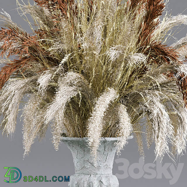 Bouquet Collection 13 Decorative Dried Branches and Pampas 3D Models