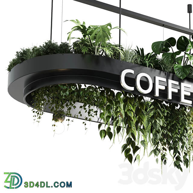 Coffee shop reception Restaurant counter by hanging plant corona 01 3D Models