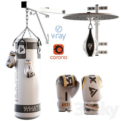 Set Punching bag and gloves from ROX 2 3D Models 